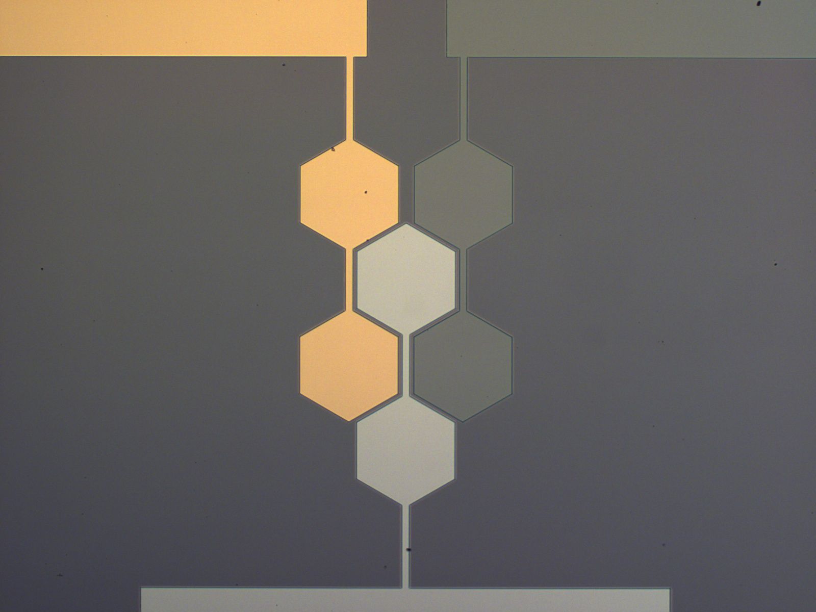 Optical micrograph of two metal contact pads joined by thin leads through a chain of seven hexagonal islands.