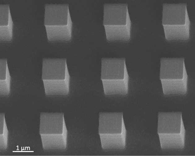 SEM image, tilted view, of a regular array of square-topped nanopillars made for the VerCINI vertical bacteria-imaging method. Scale bar 1 µm.